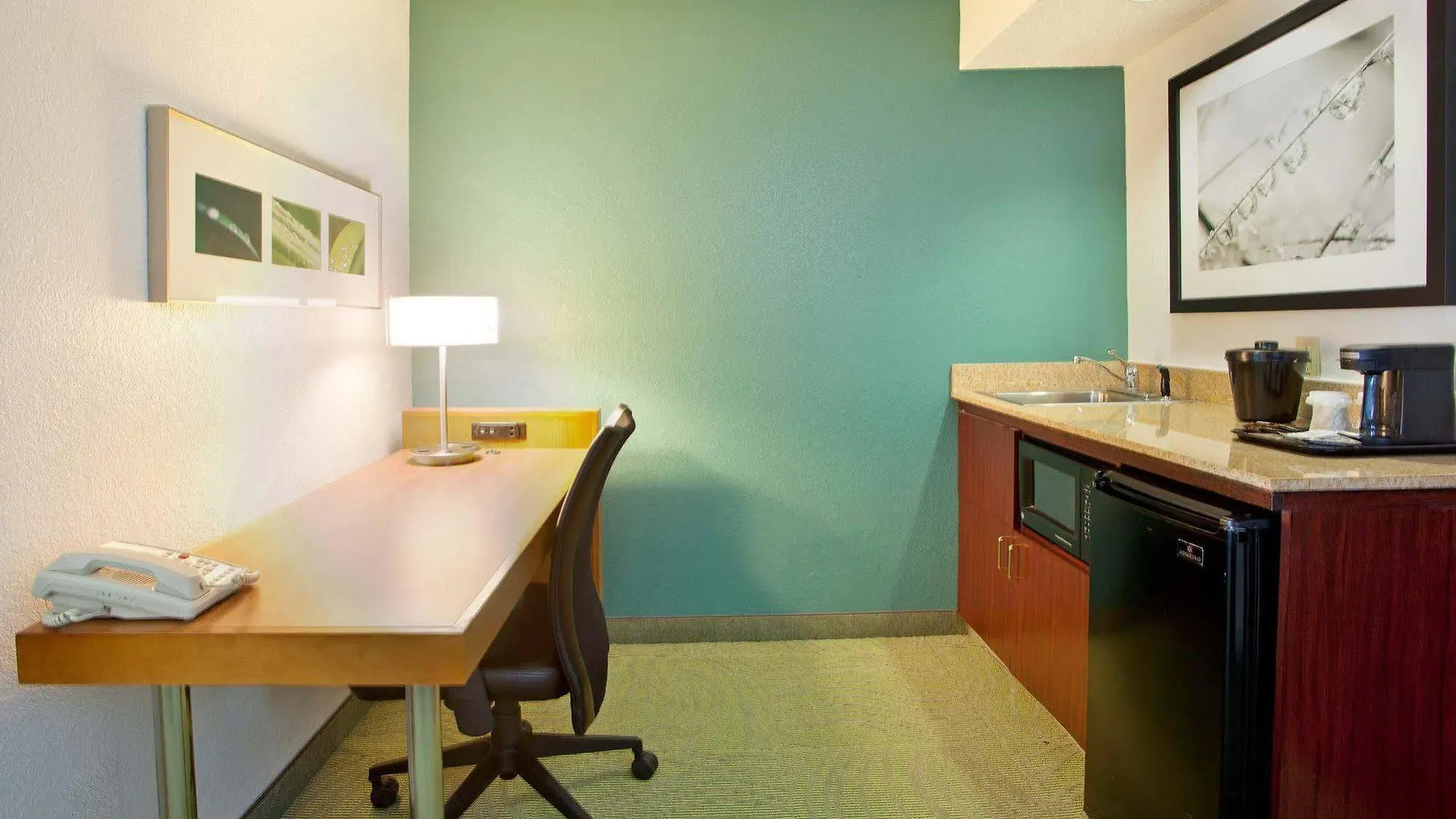 Springhill Suites Nashville Metrocenter